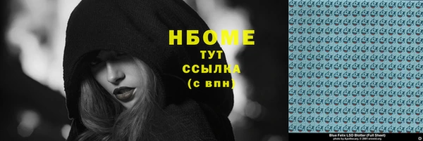 прущие грибы Дмитриев