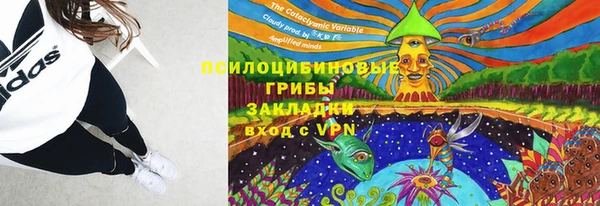 метадон Ельня