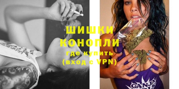 метадон Ельня