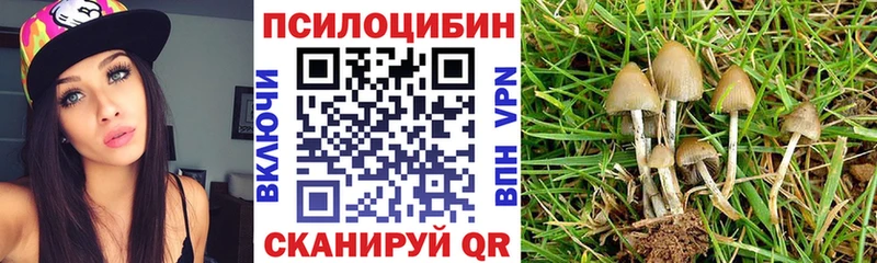 Галлюциногенные грибы прущие грибы  Каменногорск 